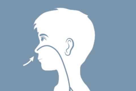 Grafische Darstellung der flachen Atmung, Silhouette von der Seite mit Pfeilen, die durch die Nase bis in den Brustkorb reichen