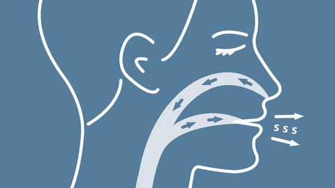 Conscious breathing to calm when an asthma attack is coming on Grafische Darstellung eines Kopfes in Seitenansicht mit Darstellung des Wegs der Atemluft