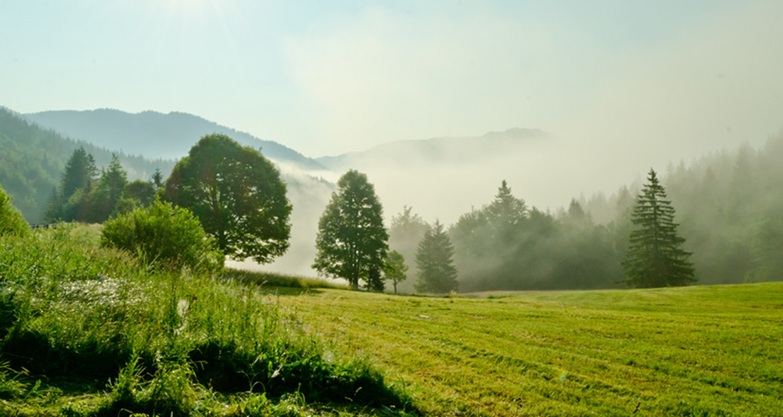 Living with cystic fibrosis Living with cystic fibrosis