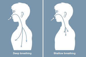 Graphic juxtaposition of deep and shallow breathing, two silhouettes from the side, on the left arrows go through the nose deep into the abdomen, on the right the arrows only reach the rib cage.